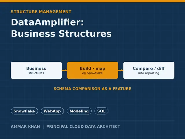 DataAmplifier web app thumbnail