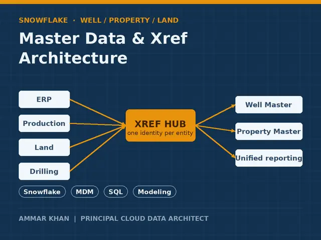 Master data & Xref architecture thumbnail